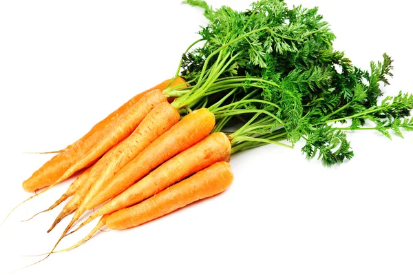 Karotten mit Blättern — Stockfoto