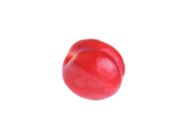 Ameixa vermelha — Fotografia de Stock