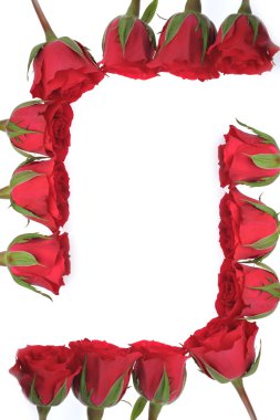 Beautiful red roses clipart