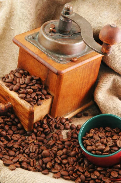 Moulin à café rétro avec tasse — Photo