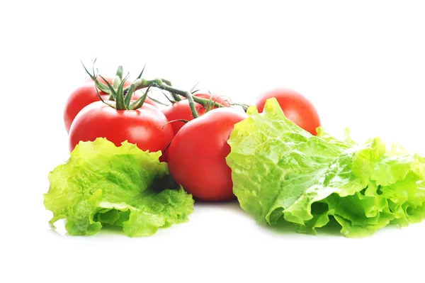 Verse groenten tomaten met sla — Stockfoto
