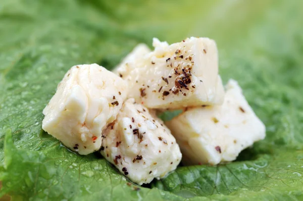 White cheese on leaf — Stock Photo, Image
