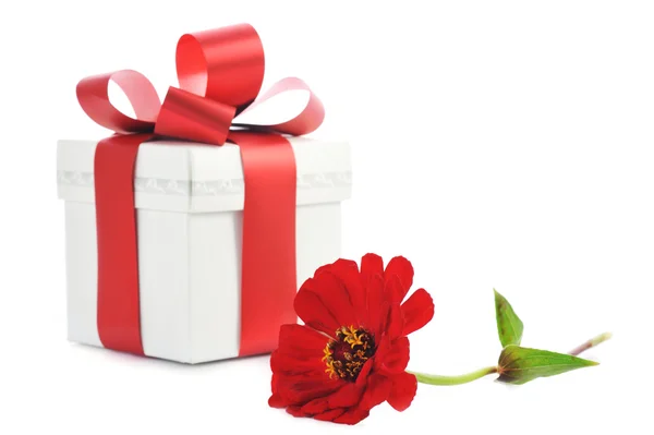Giftbox και κόκκινο λουλούδι — Φωτογραφία Αρχείου