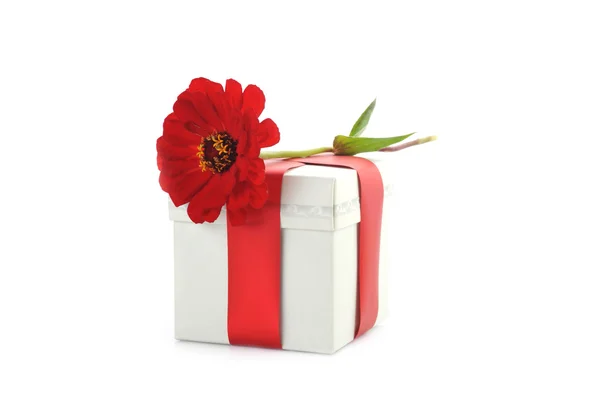Geschenkbox und rote Blume — Stockfoto