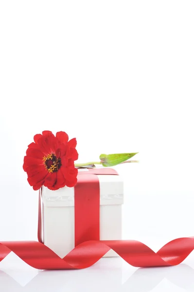 Подарункова коробка і червона квітка — стокове фото