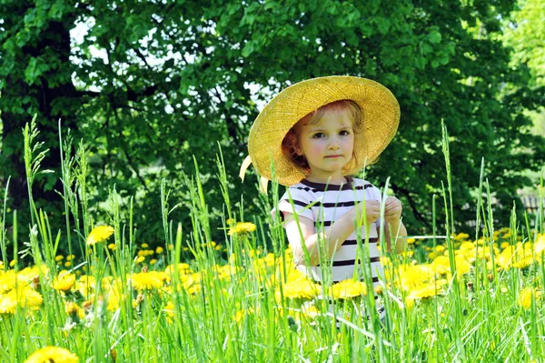 Дівчина в квітучому полі — стокове фото
