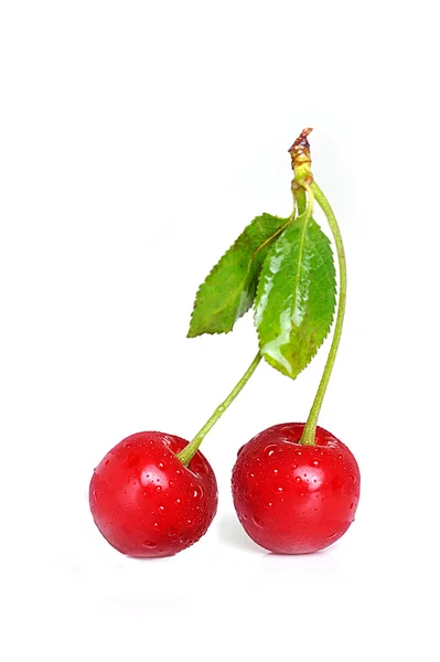 Cherry closeup — Stock Photo, Image