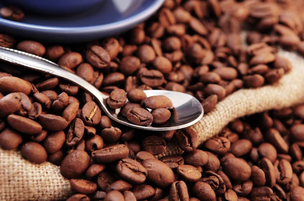 Kávová zrna a lžíce — Stock fotografie