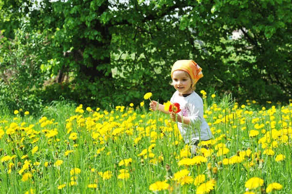 Девушка в цветущем поле — стоковое фото