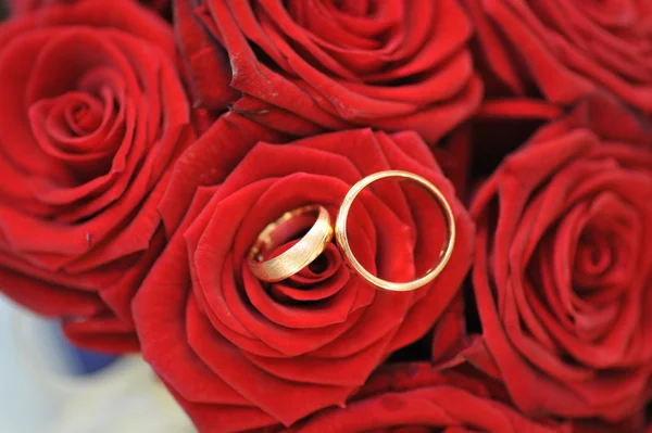 Rosas e anéis de ouro — Fotografia de Stock