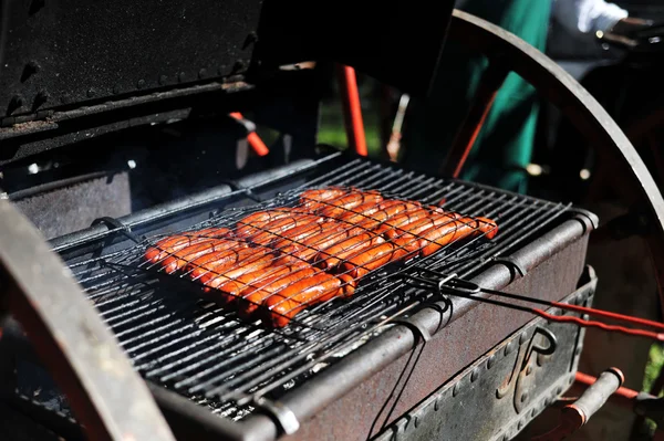 stock image Meat sausages