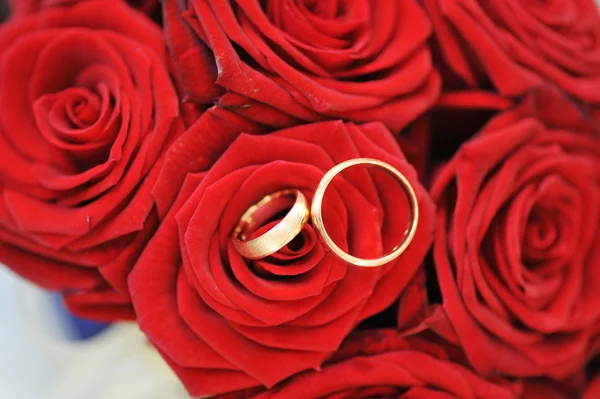 玫瑰和金戒指 — 图库照片