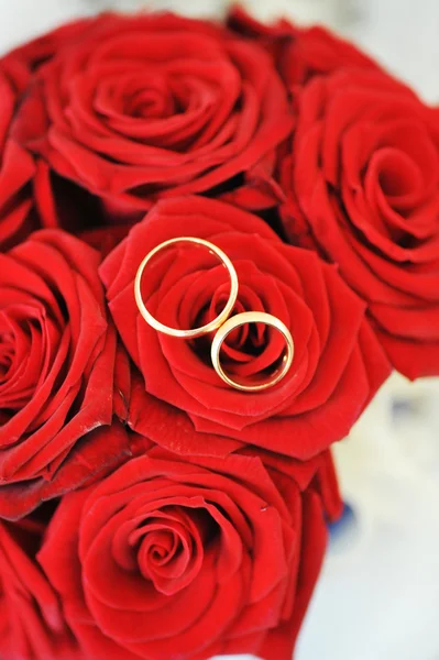 Růže a zlaté prsteny — Stock fotografie