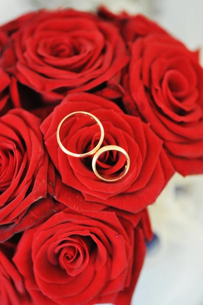 Růže a zlaté prsteny — Stock fotografie