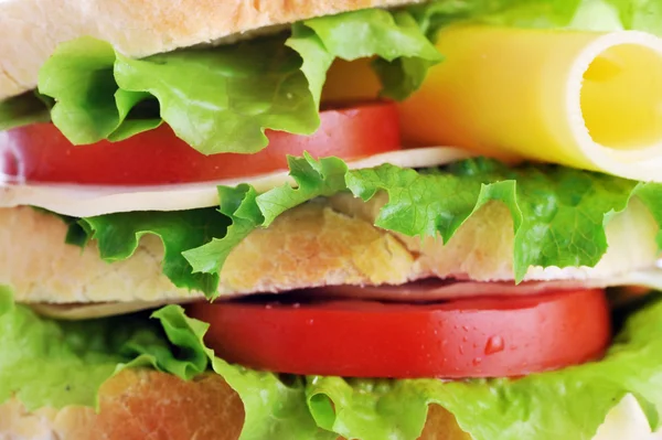 Sandwich frais et savoureux — Photo