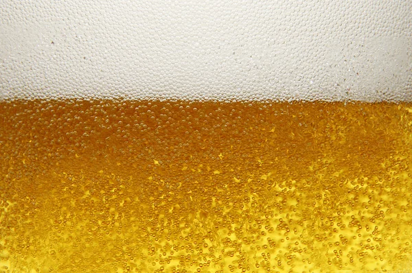 啤酒与杯 — 图库照片