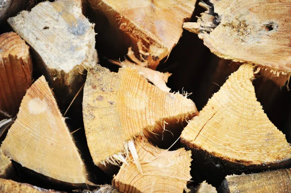 Stack of fresh firewood — Stock Photo, Image