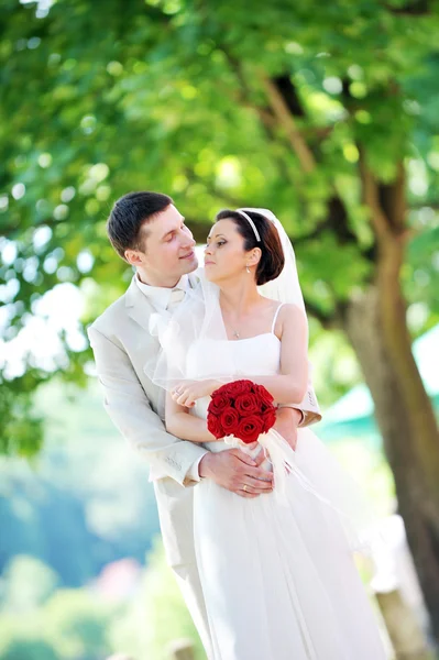 Sposo e sposa — Foto Stock