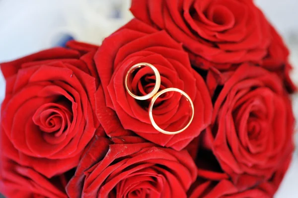 Rose e anelli d'oro — Foto Stock