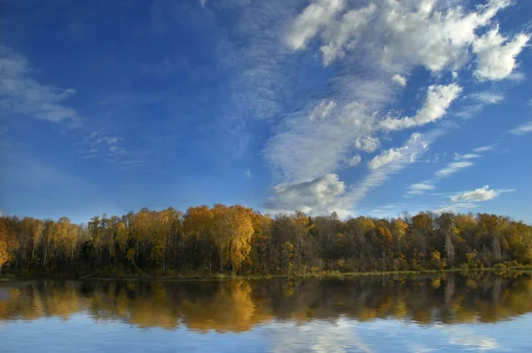 stock image Forest reflected in lake