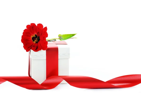 Коробка и красный цветок — стоковое фото