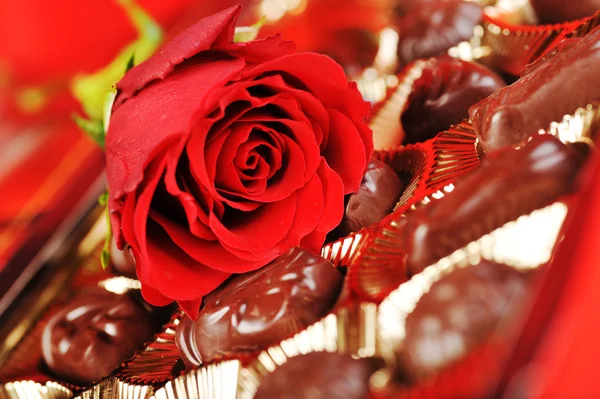 Chocolats et rose sur rouge — Photo