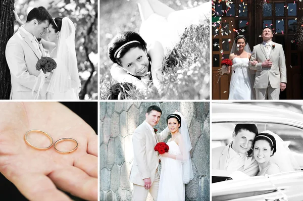 Collage de fotos de boda —  Fotos de Stock