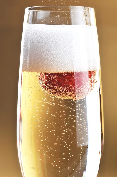 Shampagne glass — Stock Photo, Image