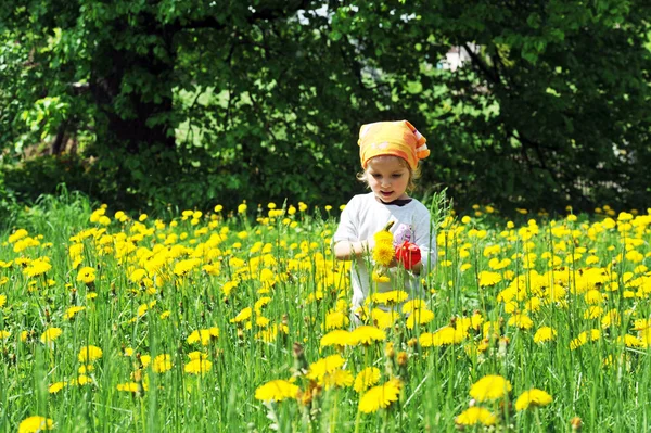 Dívka v kvetoucí pole — Stock fotografie