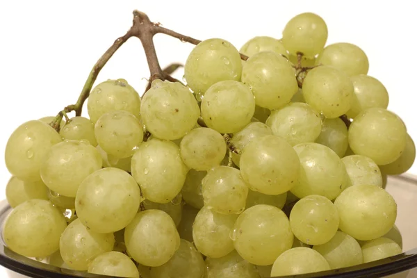 Зеленый сладкий виноград, изолированный на белом — стоковое фото