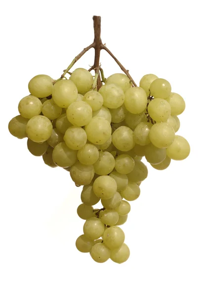 Ramo de uva verde isolado sobre branco — Fotografia de Stock