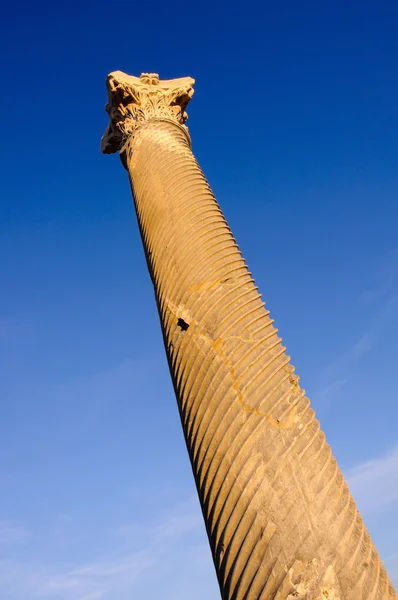 stock image Unhurt column