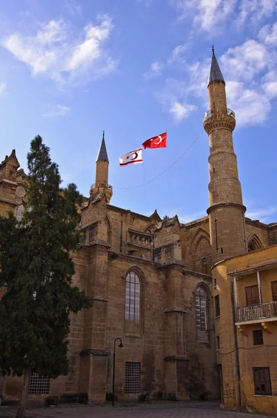 Mosquée Selimiye — Photo