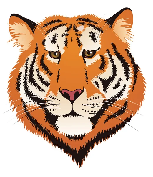 Tigre — Vettoriale Stock