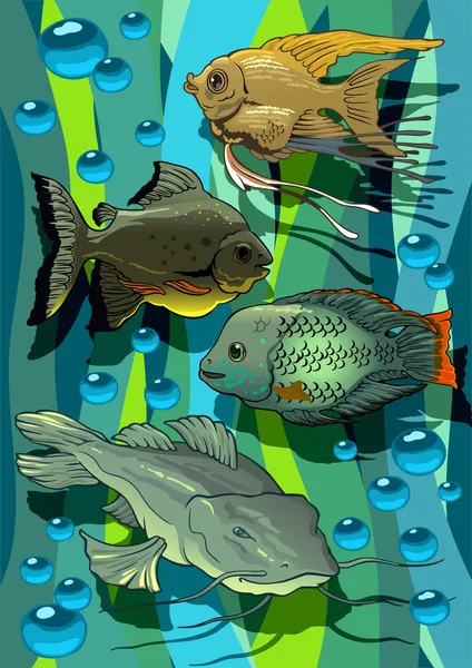 Aquarian fishes Stock Illustration