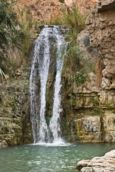 Cachoeira no deserto de Negev — Fotografia de Stock
