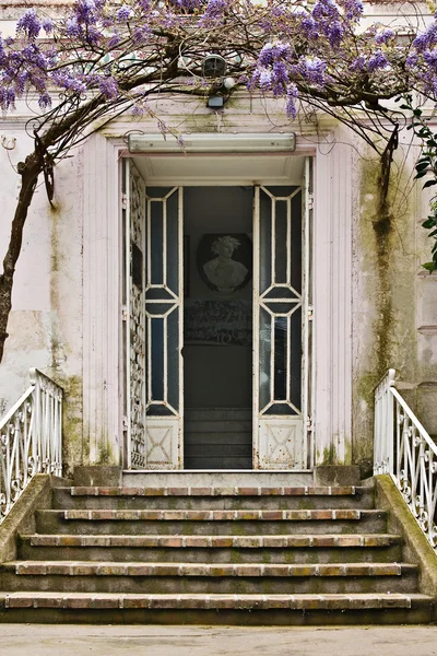 Porta da casa velha — Fotografia de Stock