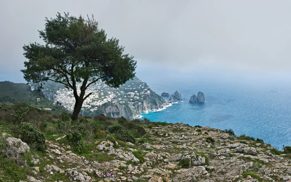 Monte Solaro mount, Capri — Stock Photo, Image