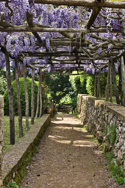 Villa cimbrone garden, ravello, italien — Stockfoto
