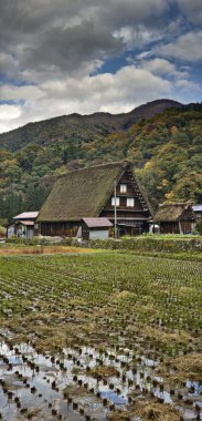 Geleneksel Japon evi