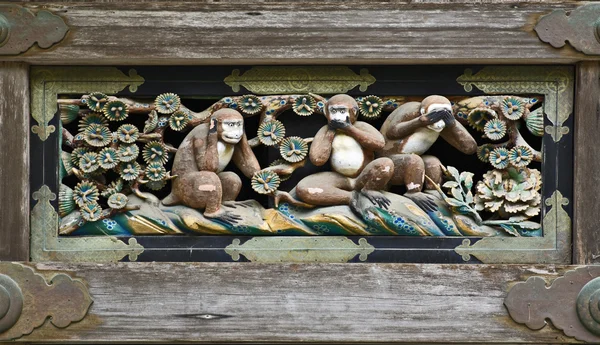 Drei weise Affen — Stockfoto
