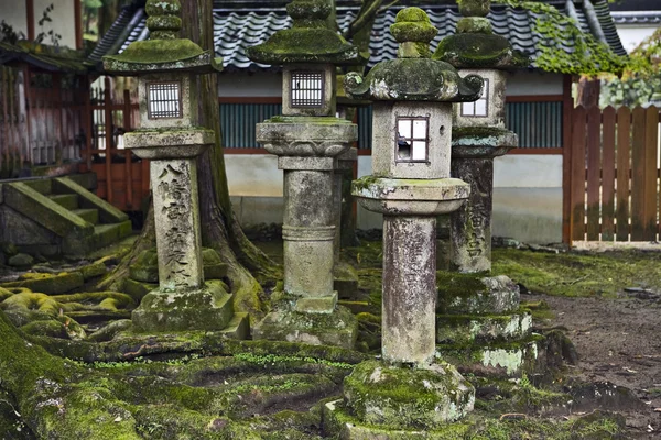 Lyktor i shinto kasuga shrine — Stockfoto