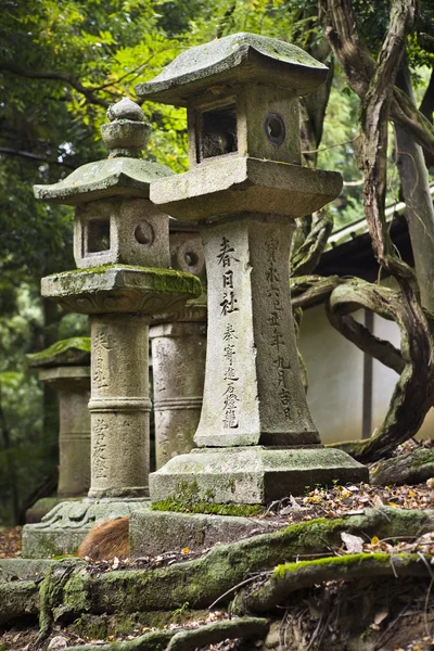 Lyktor i shinto kasuga shrine — Stockfoto