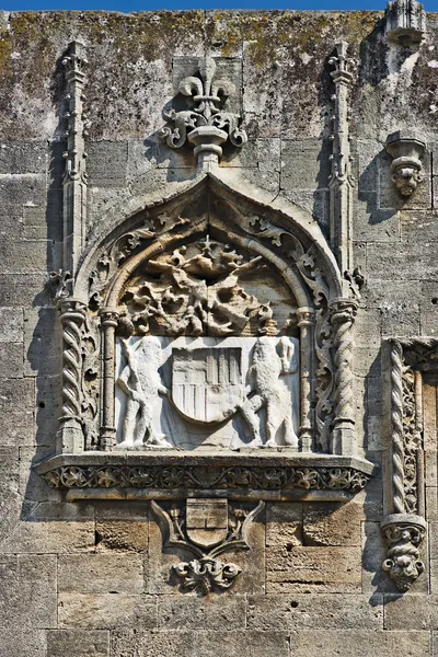 Scudo emblema medievale — Foto Stock