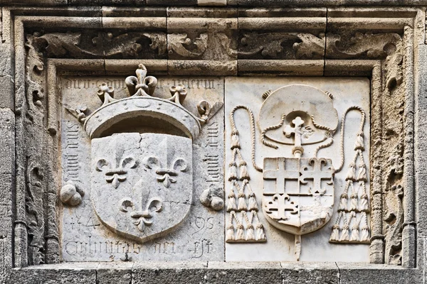 Средневековый щит герба — стоковое фото