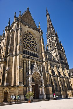 Neuer dom (yeni bir katedral), linz, Avusturya