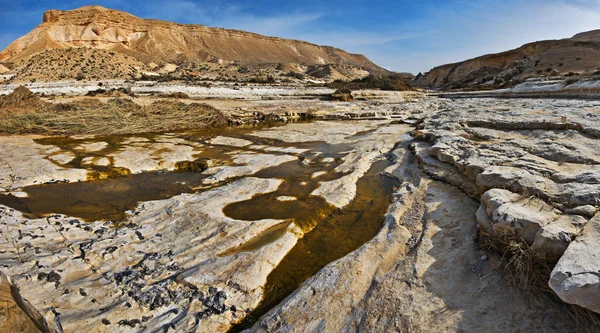石の砂漠の峡谷 — ストック写真
