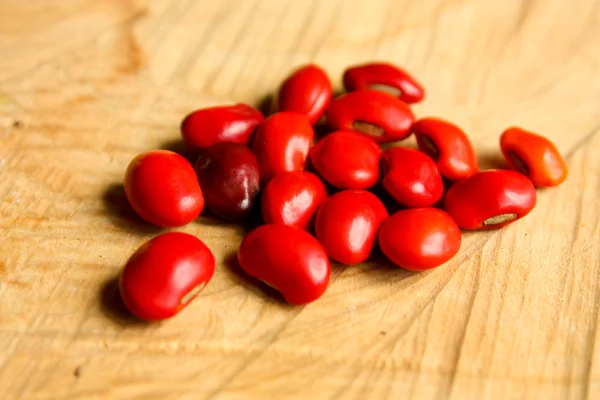 Common bean — Stock Photo, Image