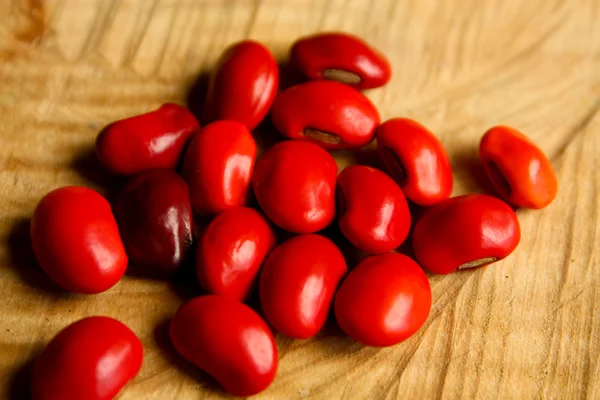 Common bean — Stock Photo, Image