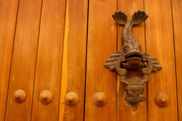 Metal knocker shaped fish. door — Stock Photo, Image